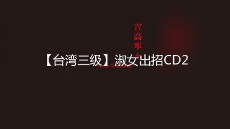 【台湾三级】淑女出招CD2