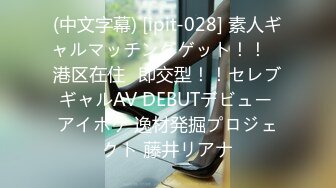 (中文字幕) [ipit-028] 素人ギャルマッチングゲット！！ ≪港区在住≫即交型！！セレブギャルAV DEBUTデビュー アイポケ 逸材発掘プロジェクト 藤井リアナ