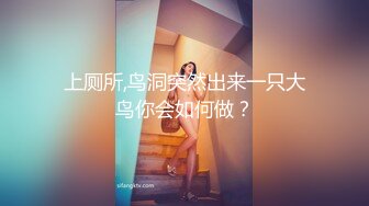 上厕所,鸟洞突然出来一只大鸟你会如何做？