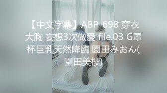 【中文字幕】ABP-698 穿衣大胸 妄想3次做愛 file.03 G罩杯巨乳天然降臨 園田みおん(園田美櫻)