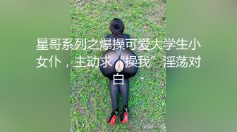 星哥系列之爆操可爱大学生小女仆，主动求“操我”淫荡对白